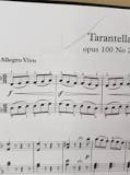 Image result for what does sf mean in piano
