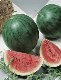 Check spelling or type a new query. Watermelon Sugar Baby Watermelon Seeds Fruit Seeds By Mr Fothergills