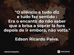 O Silencio A Tudo Diz E Tudo Edsonricardopaiva