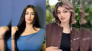 Amid India-Pakistan Tensions, videos of several Pakistani influencers  including Mathira, Minahil to Imsha, leak online - The Economic Times
