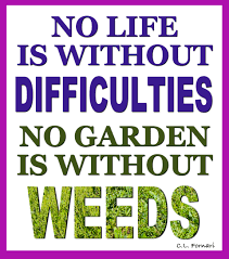 These quotations from our favorite garden books will inspire your planting and tending through each and every season. Quotes About Beautiful Garden 56 Quotes
