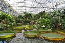 Visite Des Serres Jardins Suspendus Site Officiel De La Ville Du Havre Le Havre