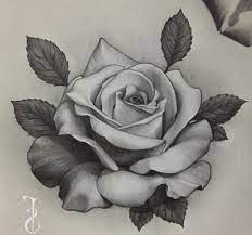 That's all the article tattoo rose line drawing this time, hope it is useful for all of you. Designs Rose Rose Sketch Rose Flower Tattoos Roses Drawing Rose Tattoo Design