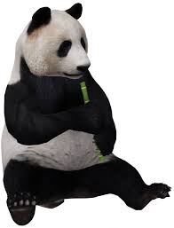 Google 3d Animals Ar Objects Full List Gallery Android Central