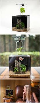 Ecoqube C Aquarium Uses A Basil Plant As Part Of The Aquaponics Filter To Purify Aquarium Water With This You Never Have To Chan Acuariofilia Peceras Acuario