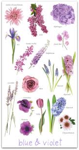 Blue And Violet Wedding Flowers In 2020 Flower Names Flower Arrangements Purple Flowers