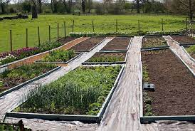Pin On Vegtable Garden