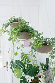 Got a bare white wall you're not quite sure how to jazz up? Diy Indoor Hanging Planters That Add Style To Your Space The Garden Glove