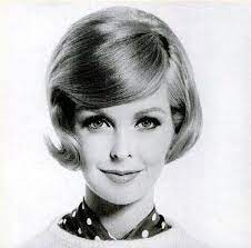 Sara Thom For Clairol Conditioner Ad 1964 1960 Hairstyles Vintage Hairstyles Retro Hairstyles