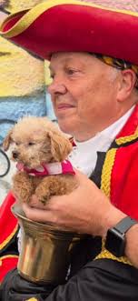 Me again!!!!!!! Best place for purchasing tow bars please?