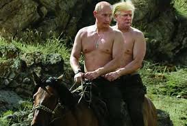 Russian president vladimir putin has turned down the offer of a dog as a gift from the japanese japan gave mr putin a female akita called yume in 2012. Cynophobia Almost Dailybrett