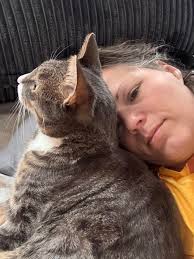 Violet Belles Siberian Cats