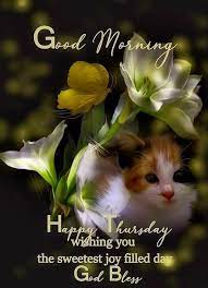 Pin On Good Morning Inspirational Quotes