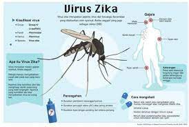 Mayoritas orang yang terinfeksi virus zika tidak zika disebarkan oleh nyamuk aedes aegypti. Wisatawan Kanada Terjangkit Virus Zika Republika Online