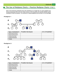 In a pedigree, a square represents a male. Practice Pedigree Chart Dominance Genetics Heredity