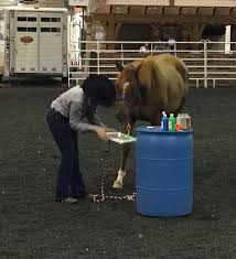 Equine Makeover Showcases Youth Trainers