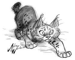 It can also be used to transfer master designs or theorems that are made using a tracing wheel. By Andrew Wamboldt Animal Drawings Furry Art Animal Art