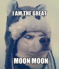 With tenor, maker of gif keyboard, add popular doge meme animated gifs to your conversations. I Has A Hotdog Moon Moon Funny Dog Pictures Dog Memes Puppy Pictures Pictures Of Dogs Dog Pictures Funny Pictures Of Dogs Dog Memes Puppy Pictures Doge Cheezburger
