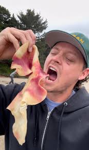 What do strippers taste like are they good to eat.just don't get them up in  nw Oregon coast