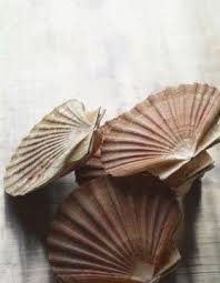 Coquilles Saint Jacques A La Bordelaise Pour 3 Personnes Recettes Elle A Table Recette Coquille Saint Jacques Saint Jacques Coquille