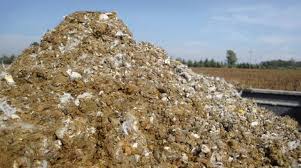 Qué hacemos con las 1,5 millones de toneladas de guano de gallina que se  generan cada año? – Bichos de Campo