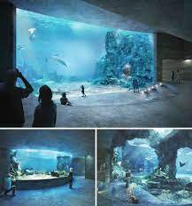 boltshauser architekten beats zaha hadid mvrdv to design basel aquarium aquarium architecture aquarium design zoo architecture