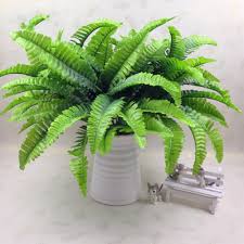 Buy our hanging artificial fern plants with a full natural look. 7 Fork Simulation Fern Grass Green Plant Artificial Fern Persian Leaves Flower Wall Hanging Plants Home Wedding Shop Decoration Buy At The Price Of 1 08 In Aliexpress Com Imall Com