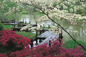 We've put together a list of japan's best gardens to visit during your regarded as one of japan's three most beautiful gardens, korakuen is okayama city's calling card. A Love Of Japanese Gardens Confero Dezso