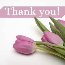 Reviews From Kirkland Customers Tulips Pink And Purple Flowers Flowers