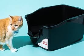 After you've installed the genie, you can set an automatic timer of 10 or 30 minutes after your cat uses the box or choose to trigger cycles manually. The Best Cat Litter Boxes For 2021 Reviews By Wirecutter