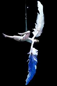Cirque Du Soleil S Varekai Icarus Cirque Du Soleil Varekai Cirque Du Soleil Icarus