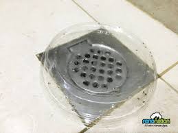These are sometimes called sewer flies. How To Get Rid Of The Pesty Drain Flies In Your Shower And Kitchen In 5 Simple Steps