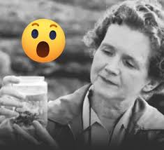 En la primavera de 1962, una mujer tranquila, con el cáncer avanzando por  su cuerpo, se sentó frente a una máquina de escribir y cambió la forma en  que el mundo entendía