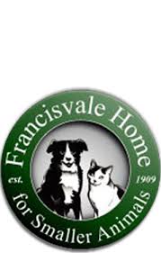 102 Year Old No Kill Animal Shelter Finding Forever Homes For Cats And Dogs Small Pets No Kill Animal Shelter Cat Adoption