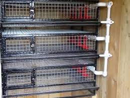 We have almost everything on ebay. Cages For Quail Types Selection Sizes And Manufacturing Process Professional Quail Cages With Sizes Norms By Area