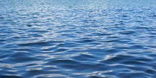 Inilah manfaat melestarikan alam, sehingga alam memberi hikmah tersediri bagi kita yang melestarikan dan menjaganya. 5 Manfaat Laut Bagi Kehidupan Makhluk Hidup Produksi Oksigen Lebih Banyak Merdeka Com