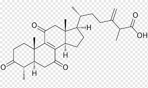 Download 29 testosterone free vectors. Steroid Cholesterol Molecule Androgen Testosterone Jstor Angle White Text Png Pngwing
