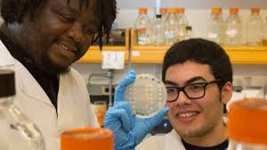 Biology summer program gives undergrads a taste of the scientific life