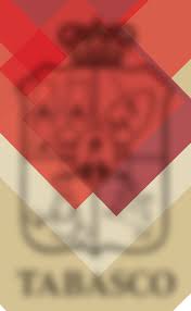 ORGANIGRAMA 2020.cdr