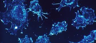 A genetic mutation of a cell's dna is required for a healthy cell to take on the features that classify them as cancerous. Why Most Cancer Isn T Due To Bad Luck