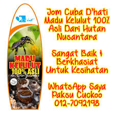 Madu kelulut mempunyai banyak khasiat untuk memulihkan pelbagai penyakit kronik jika diamalkan secara berterusan. Addin 20 Khasiat Terbaik Madu Kelulut