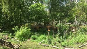 Jedoch habe ich jetzt sorge, dass das meinem nachbarn nicht gefallen könnte. Schafe Archive Dreieichhornchen Kinder Und Jugendfarm Dreieich