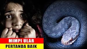 We did not find results for: Pertanda Baik Inilah 5 Arti Mimpi Bertemu Dengan Ular Youtube