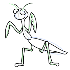 Learn how to draw a funny cartoon step by step. Praying Mantis Insect Drawing Lesson How To Draw Cartoons