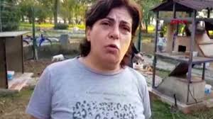 Vahsetten Bile Ote Poset Icerisinde Yanmis Halde Kedi Olusu Buldu Yasam Haberi Gunes