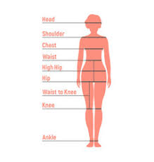 human body measurements chart vector images 28