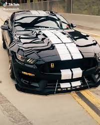 shelby 3 video carros de luxo luxury sports cars carros desportivos de luxo