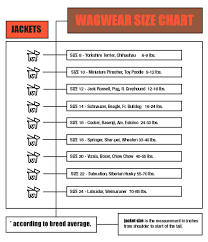 how to size your dog for a coat or jumper forsyth and tedd