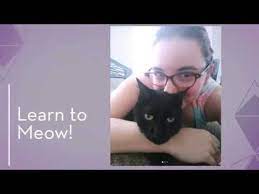 vexic covers mandopop 03 猫習う 學貓叫 learn to meow japanese version photo learning japanese