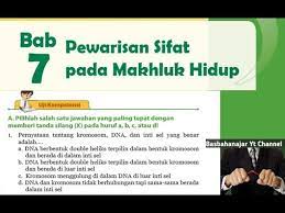 Check spelling or type a new query. Jawaban Pg Uji Kompetensi Bab 7 Ipa Kelas 9 Smp Hal 88 Pewarisan Sifat Pada Makhluk Hidup Youtube